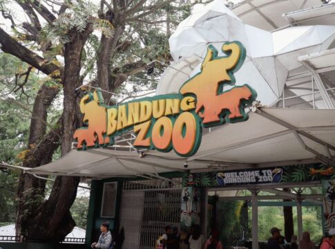 Wali Kota Bandung, Muhammad Farhan, kembali menyoroti masalah hukum yang terjadi di Kebun Binatang Bandung atau Bandung Zoo karena kondisi itu berdampak terhadap konservasi