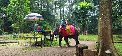 Pemerintah Kota (Pemkot) Bandung resmi memulai tahapan penataan pelaku usaha di area Kebun Binatang Bandung