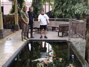 ikan koi fokusjabar.id