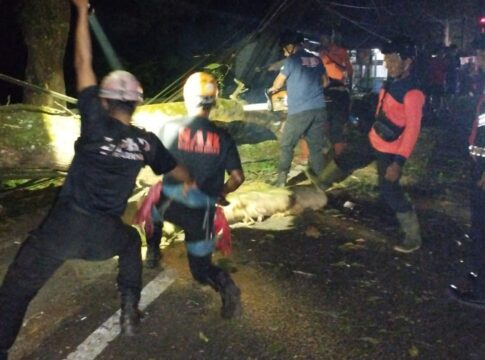 Ketpot: Tim BPBD saat mengevakuasi pohon tumbang