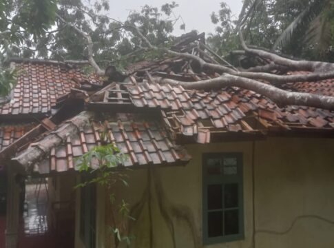 pohon tumbang fokusjabar.id