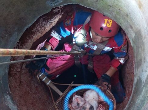 Ketpot Istimewa : Petugas Damkar UPTD Ciamis saat mengevakuasi Dua Ekor Kucing dari dalam sumur