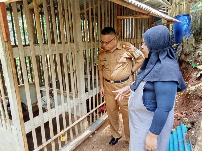 Ketpot: Kegiatan saat penilaian pemuda pelopor di Kandang Ayam Sentul milik Qonni Ilma Nufianti