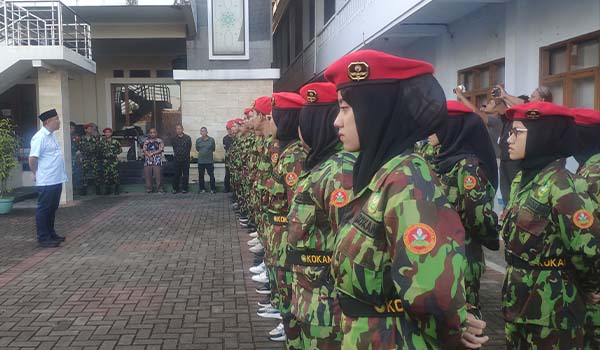 Kokam Ciamis