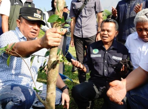 gerakan leuweung hejo bupati garut fokusjabar.id