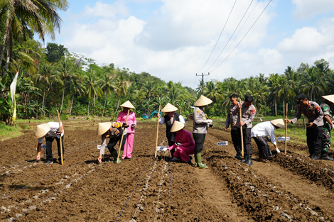 Poto: Prosesi penanaman jagung secara serentak di lahan Pondok Pesantren Al Itqon Qiroatussab’ah, Dusun Lebaksari, Desa Batumalang, Kecamatan Cimerak.