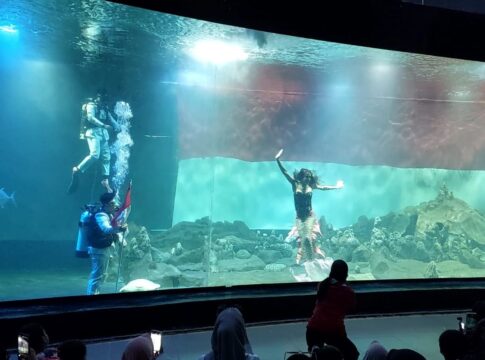 Poto: Suasana mermaid saat berenang di aquarium Indonesia Pangandaran