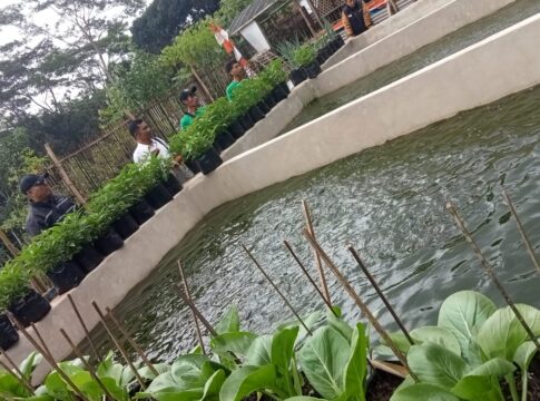 pokdakan cibunar lestari fokusjabar.id