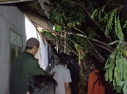 Ketpot: Pohon Tumbang di wilayah Desa Girimukti Cisaga Ciamis yang menimpa rumah milik warga