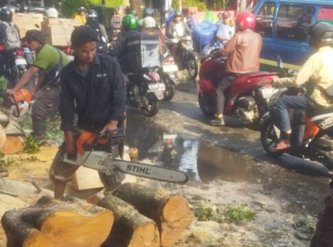 pohon beringin tumbang fokusjabar.id
