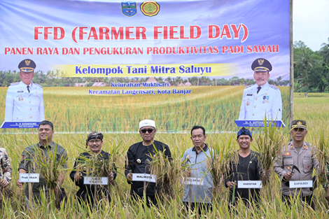 Caption: Wali Kota Banjar, Sudarsono, Wakil Wali Kota Banjar, Supriana turun langsung ke sawah dalam rangka panen raya padi