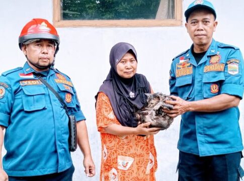 damkar uptd ciamis fokusjabar.id