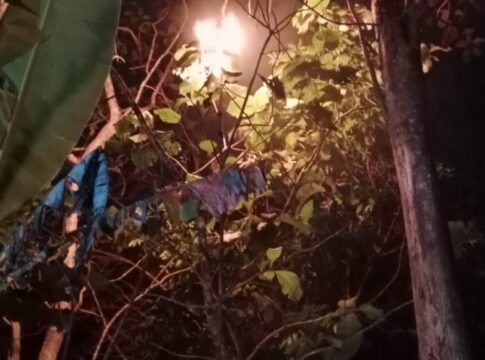 sarang Tawon Ndas fokusjabar.id
