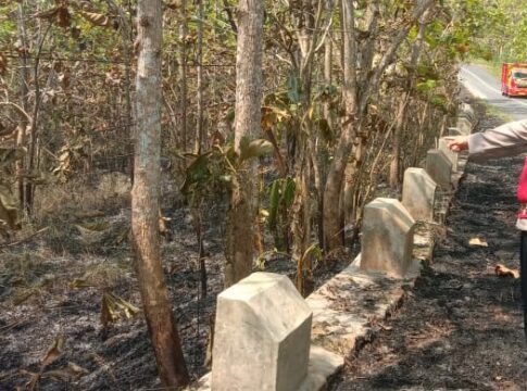 Ketpot: Lahan hutan Jati di wilayah Kecamatan Banjaranyar yang terbakar