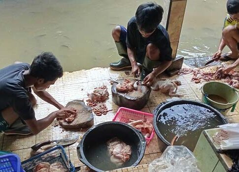 harga ayam Ciamis