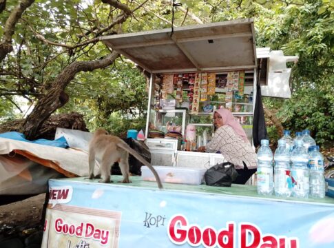 Poto: Seorang pedagang di pantai Barat Pangandaran berhadapan dengan beberapa ekor monyet nakal