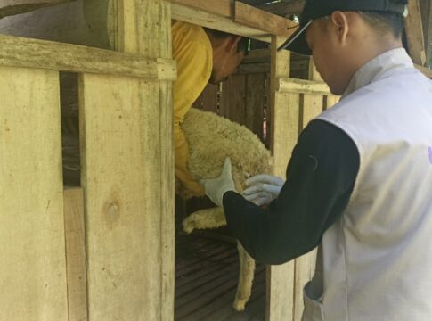 Ketpot: Petugas Disnakan Kabupaten Ciamis saat melakukan vaksinasi terhadap hewan peliharaah masyarakat