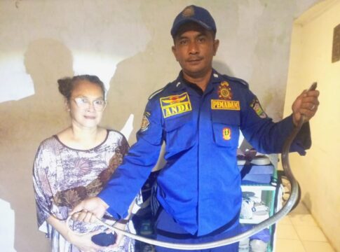 Ketpot: Ular Koros yang berhasil ditangkap personel Damkar UPTD Ciamis dari kamar mandi rumah milik warga di wilayah Desa Cijulang Cihaurbeuti Kotak Masuk