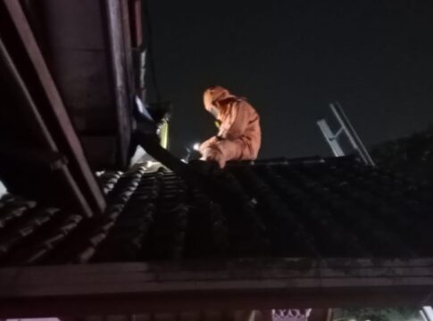 Ketpot: Personel Damkar saat mengevakuasi sarang tawon vesva
