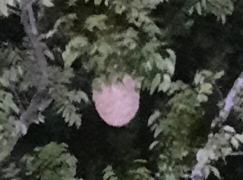 damkar ciamis fokusjabar.id