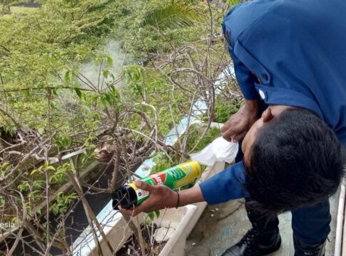 Ketpot: Personel Damkar UPTD Ciamis saat memusnahkan sarang tawon vesva dilingkungan kantor BKPSDM Ciamis Ketpot: Personel Damkar UPTD Ciamis saat memusnahkan sarang tawon vesva dilingkungan kantor BKPSDM Ciamis