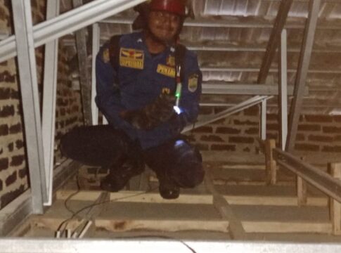 Ketpot: Personel Damkar UPTD Ciamis saat mengevakuasi Kucing di atas rumah warga Ketpot: Personel Damkar UPTD Ciamis saat mengevakuasi Kucing di atas rumah warga