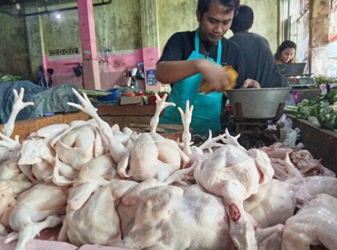 Ketpot: Daging ayam broiler di pasar manis Ciamis