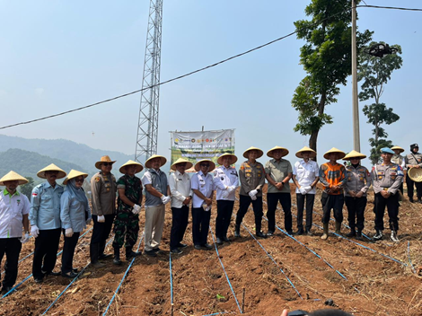 Foto: Dukung Swasembada Pangan, Polres Cimahi Tanam Jagung di Bandung Barat. (Humas Polres Cimahi)