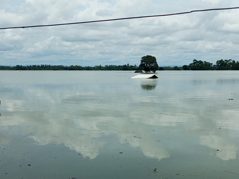 Poto; Kondisi banjir di wilayah Ciganjeng kecamatan Padaherang Kabupaten Pangandaran