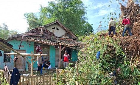 Keterangan Foto: Warga dan tim gabungan, termasuk dari Polsek Pasirwangi, bahu-membahu membersihkan material longsoran tanah dan pohon bambu yang menimpa rumah Ibu Holidah (49) di Kampung Legok RT 03 RW 04, Desa Padaasih, Kecamatan Pasirwangi, Garut, pada Minggu (02/11/2025). Longsor akibat cuaca ekstrem ini menyebabkan kerusakan sedang pada rumah. (Foto: Dok. Pemerintah Kecamatan Pasirwangi)