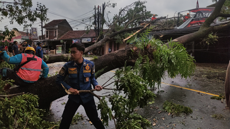 Ketfot : Pohon besar tumbang di ruas Jalan Raya Mohammad Hatta, Kelurahan Sukamanah, Kecamatan Cipedes, Kota Tasikmalaya,