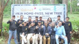 pohon kopi fokusjabar.id