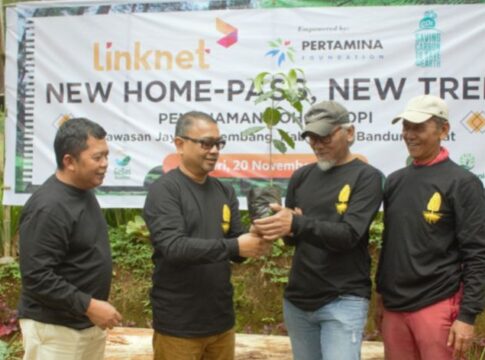 pohon kopi fokusjabar.id