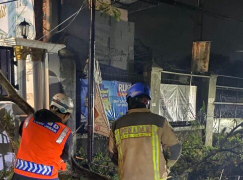 Pohon Raksasa Tumbang fokusjabar.id