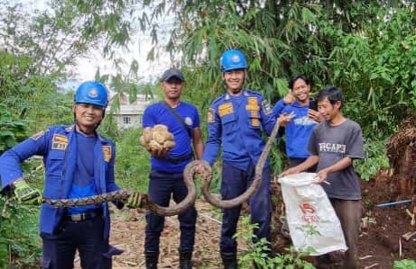 Disdamkar Garut fokusjabar.id