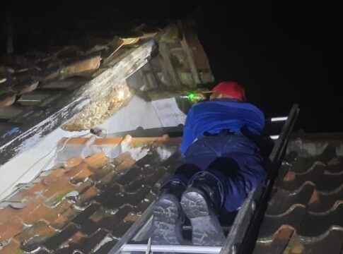 Ketpot: Personel Damkar UPTD Ciamis saat mengevakuasi sarang tawon vesva