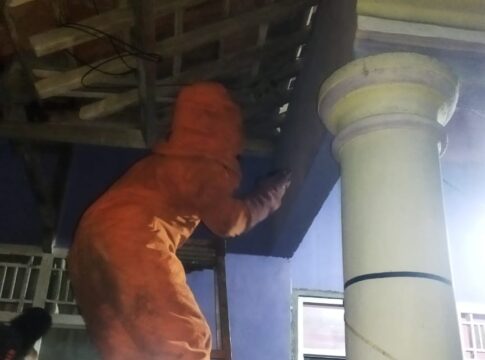 sarang Tawon fokusjabar.id