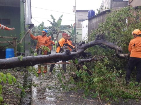 bencana alam ciamis fokusjabar.id