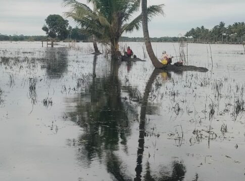 banjir pangandaran fokusjabar.id
