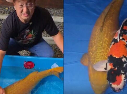 Hartono Soekwanto fokusjabar.id