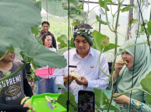 Ket foto : Wakil Wali Kota Dicky Candra bersama Sang Istri Rani Permayani Candra, saat Panen Raya Melon di Karang Resik Tasikmaya (fokusjabar/Seda)