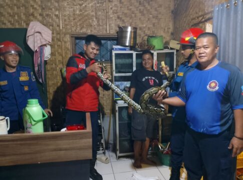 disdamkar garut fokusjabar.id