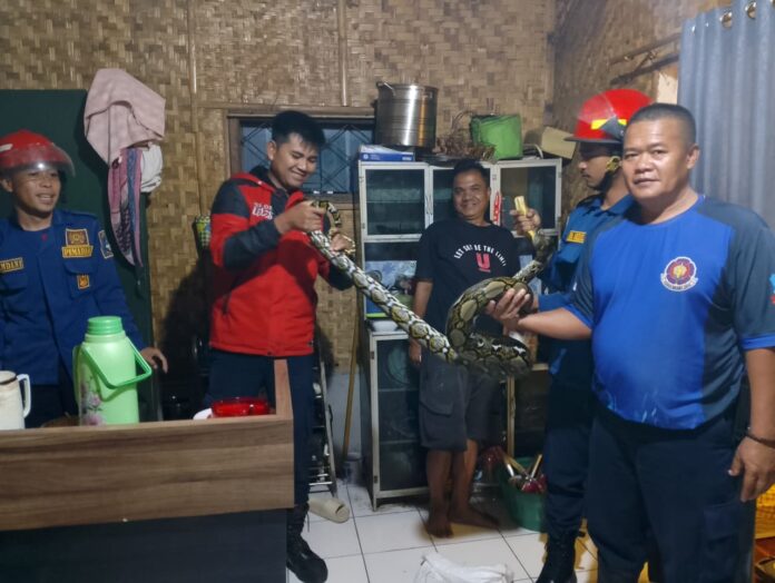 disdamkar garut fokusjabar.id