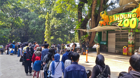 Wali Kota Bandung Muhammad Farhan memastikan bahwa Kebun Binatang Bandung tetap berstatus Ruang Terbuka Hijau (RTH) dan dibuka untuk publik