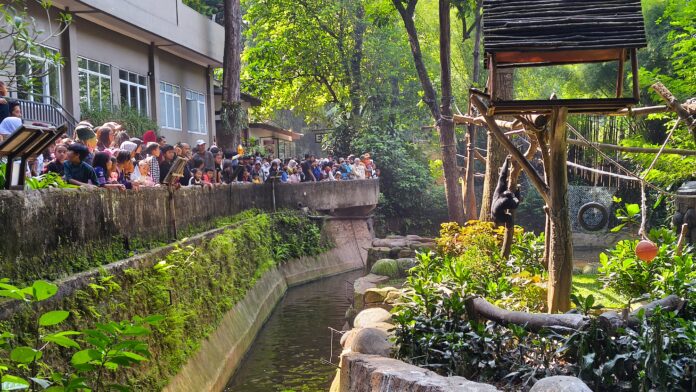 bandung zoo@fokusjabar.id