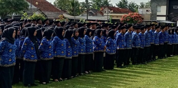 pppk paruh waktu pangandaran fokusjabar.id