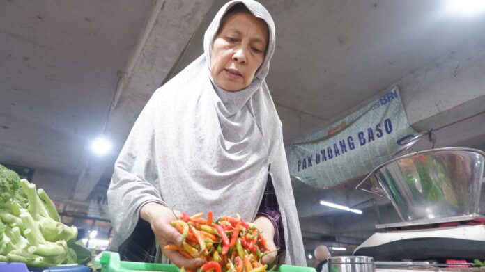 cabai kota bandung@fokusjabar.id