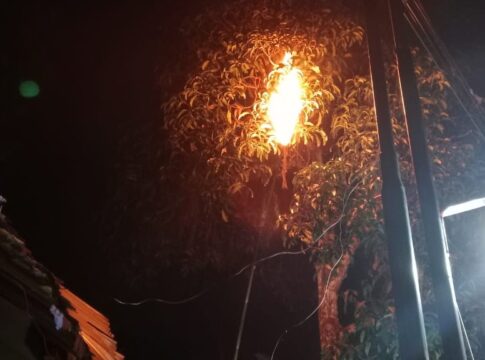 Ketpot: Proses pemusnahan sarang tawon Ndas/ Tawon vesva di Ciamis