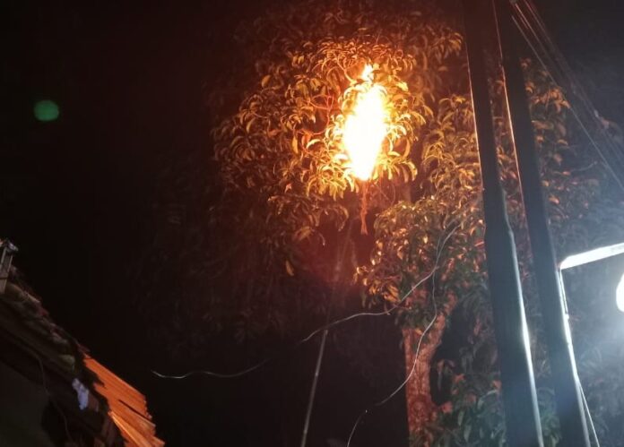 Ketpot: Proses pemusnahan sarang tawon Ndas/ Tawon vesva di Ciamis Ketpot: Proses pemusnahan sarang tawon Ndas/ Tawon vesva di Ciamis