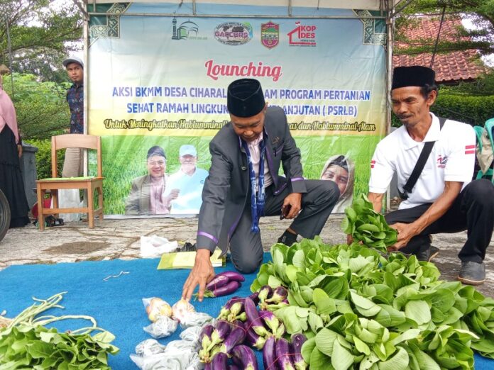 Ketpot : H. Koswara saat memperlihatkan hasil pertanian organik Ketpot : H. Koswara saat memperlihatkan hasil pertanian organik